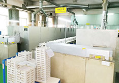 Chip factory production line